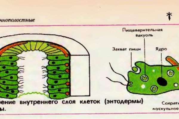Кракен верное зеркало