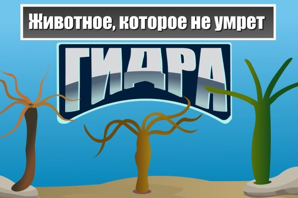 Кракен 17 точка ат