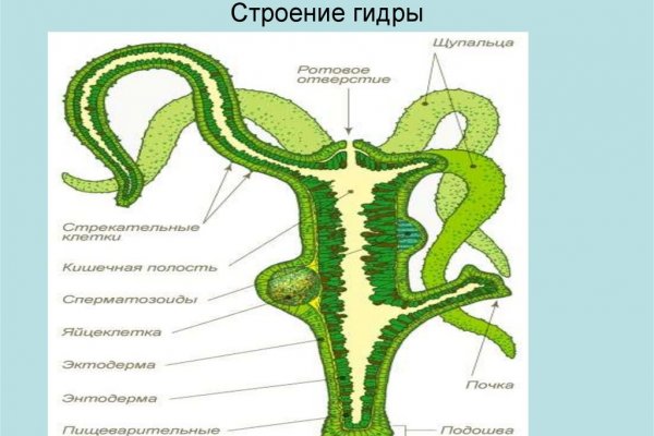 Гидра даркнет рынок