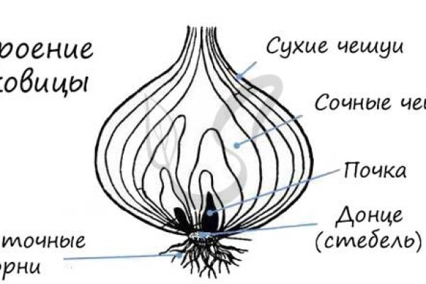 Как открыть кракен