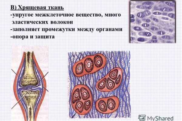 Кракен даркнет что известно